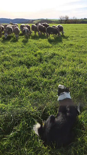 Z 10pdFZlsQfjj44.jpg