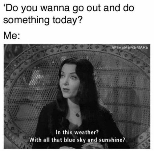 fc17b426 2cf9 415a b865 4570ebd39baf.jpg