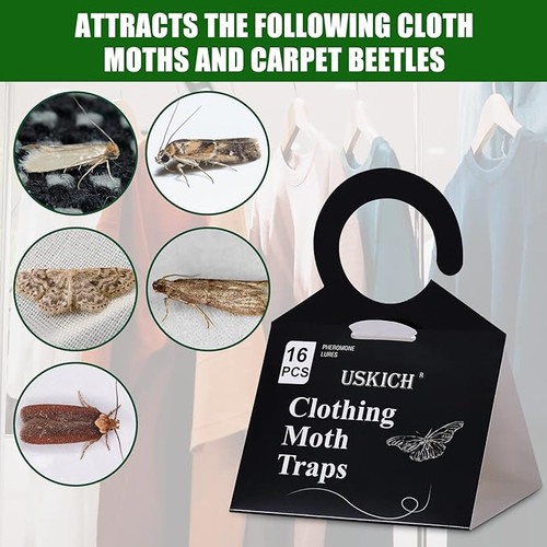 71S+X82JI5L. AC SX679 .jpg