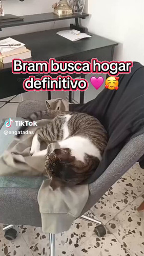 cNqB5SZh8UIy1pBQ.jpg