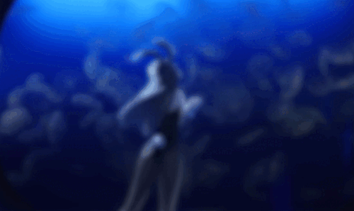 ezgif.com animated gif maker (7).gif