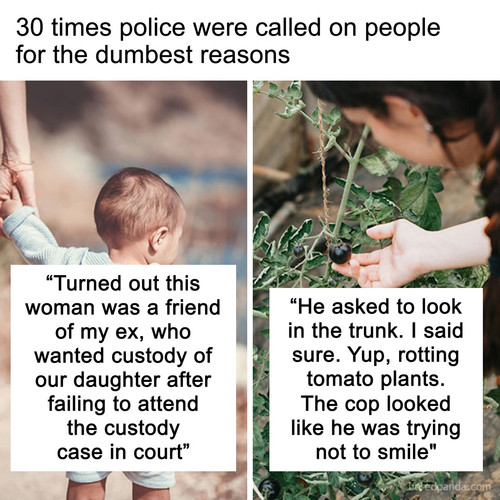 MVoyeNc.jpg