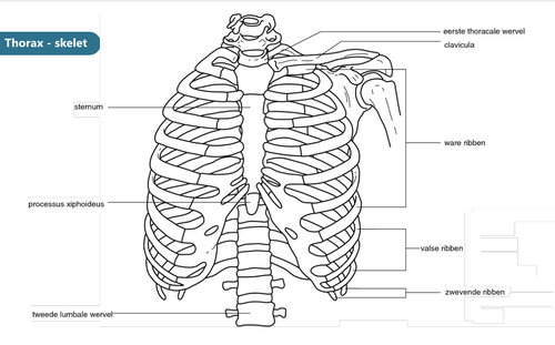 2f7ce7f5067a.png