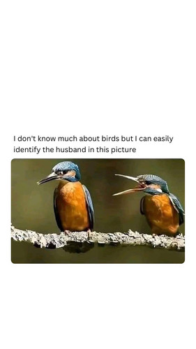 591989876 897530352846418 1903546103549253996 n.jpg