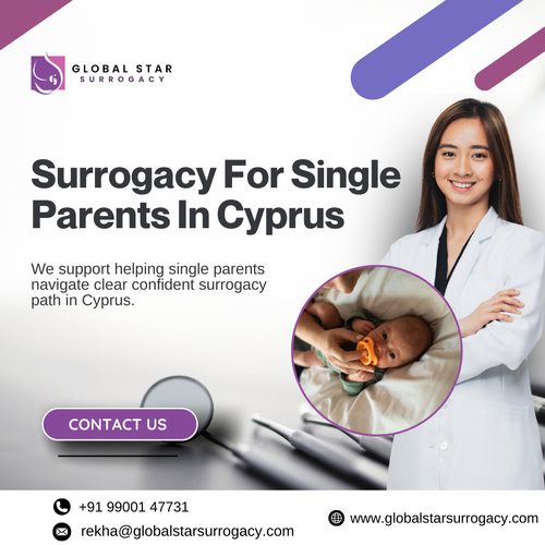 Surrogacy For Single Parents In Cyprus.png