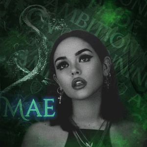 IMG 3229.png