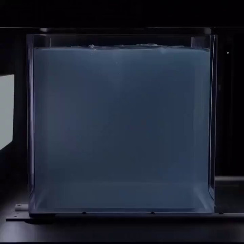 Z1uedruPH3gY0j2t.jpg