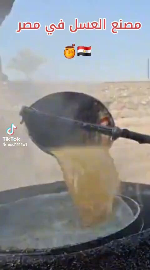 BnyN56XCh4yizLOE.jpg