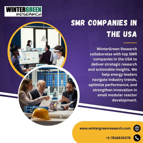 SMR Companies in the USA.jpg