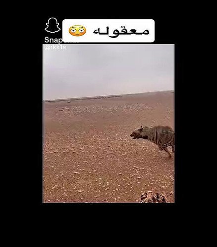 q8lZ93JA0RU1vMxM.jpg