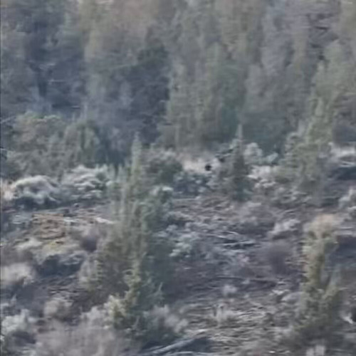 PM16QZLJEhAzR V0.jpg