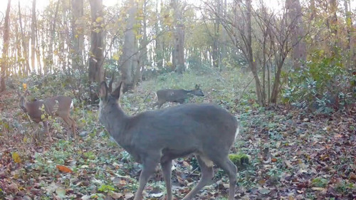 LE5vbpLXNTus Ihy.jpg