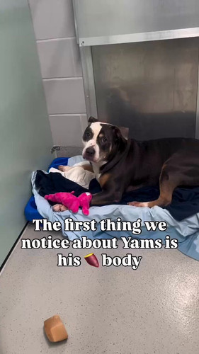 wuQuABTJCpypfl F.jpg