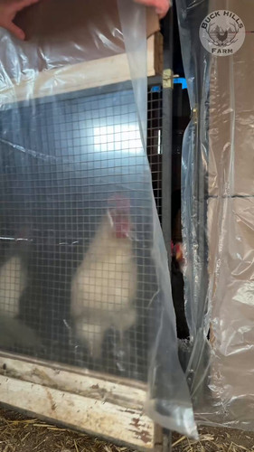 j7BB WNe3bQu2buW.jpg