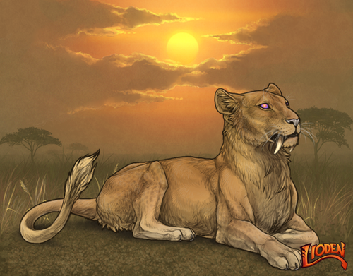 lion 794254008327.png