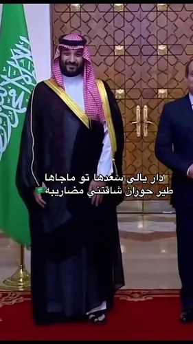 Z9zJAEiGe ntZCRE.jpg