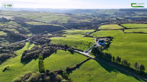 syBf Ng4n8FT3Lrh.jpg