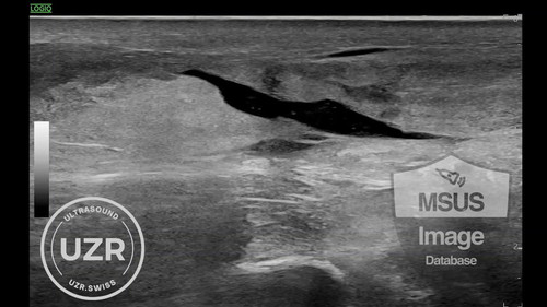 lV9eTWinEvEDX i .jpg