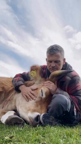 I PwF5DBmP4V9bXk.jpg