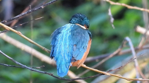 VComq luRblgiUB .jpg