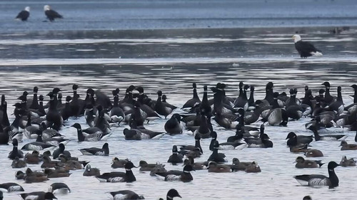 Wja ZC0uafO4Vjpy.jpg