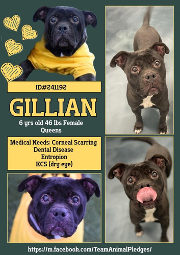 G5uYaCFXcAAkVG ?format=jpg.jpg