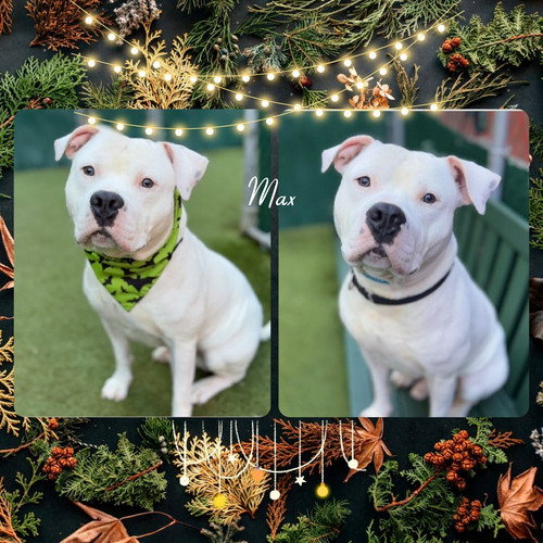 G64kop aYAAq 3f?format=jpg.jpg