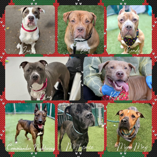 G7B hWba8AAYKA1?format=jpg.jpg