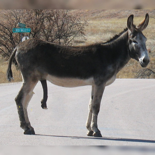 G7A57f9X0AAZOfK.jpg