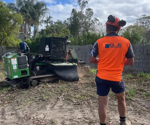stump+grinding+services 599w.jpg