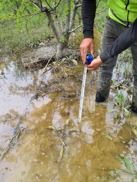 592865672 1260437049450477 9089007629605231447 n.jpg?stp=dst jpg s590x590 tt6& nc cat=103&ccb=1 7& n.jpg