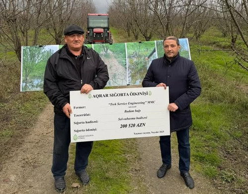 592456376 1260437002783815 718706914230998726 n.jpg?stp=dst jpg s590x590 tt6& nc cat=111&ccb=1 7& nc.jpg