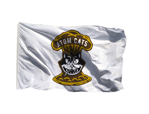 Флаг Атомных Котов из Fallout Фоллаут.png