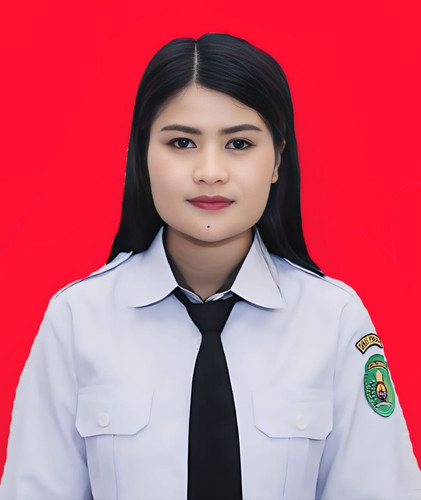 Gambar MOOC.jpg