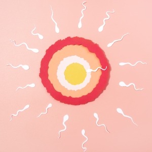 Frozen Embryo Transfer Indore.jpg