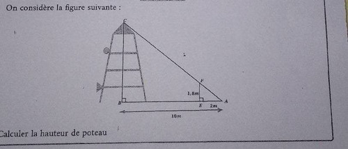 f1f0098f39a4.jpg