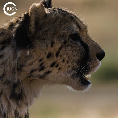 i0eLa9 ztdnkqk4v.jpg