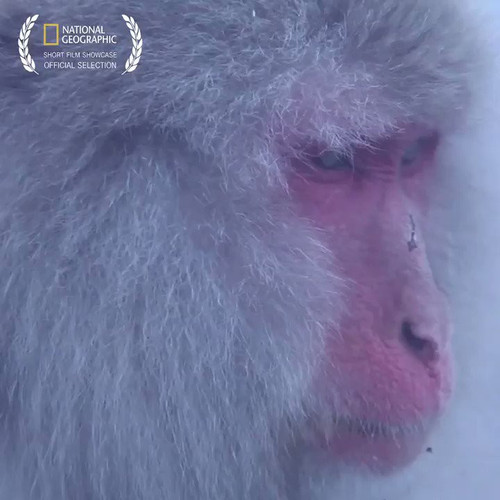 lcqpqo3HMBYg8 Ah.jpg