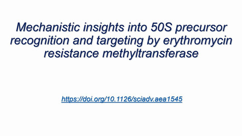 o v25 iRf2S8t5Xq.jpg