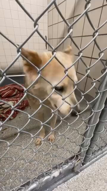 4sSy6 kIWxNDNTko.jpg