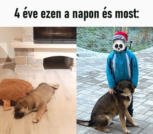 590866157 828243133311302 3593181755389029069 n.jpg?stp=dst jpg s590x590 tt6& nc cat=100&ccb=1 7& nc.jpg