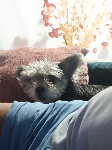 IMG 20250919 213452062.jpg