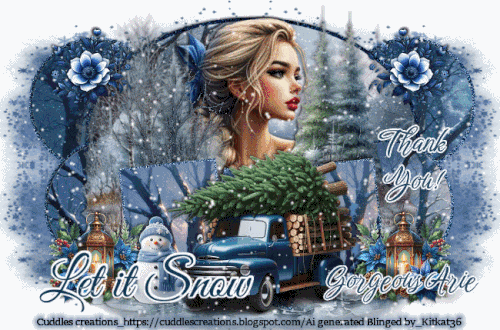 geousArieThkULetItSnowKK36CCAI vi.gif