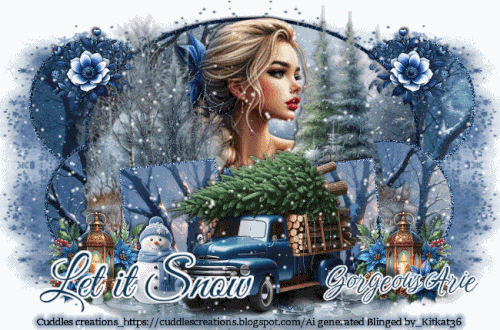 GorgeousArieLetItSnowKK36CCAI vi