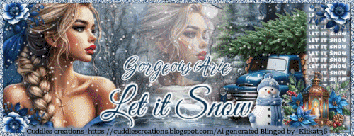 orgeousArieLetItSnowFSKK36CCAI vi