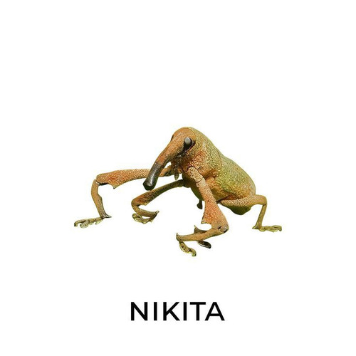 source.jpg