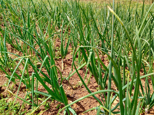 G7J2 JOWgAAfcHW?format=jpg.jpg