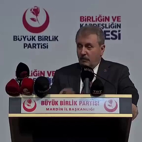 q mopI6CSptP478w.jpg