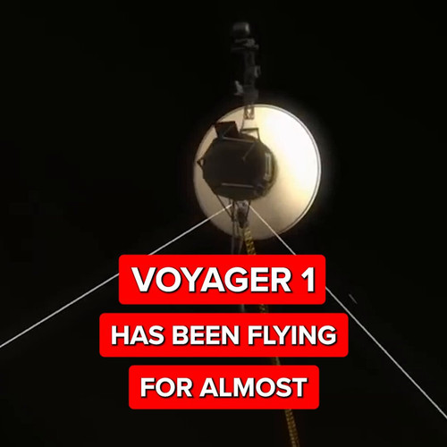 YMG G1h98MC0Gj7W.jpg