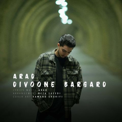 دانلود آهنگ آراد به نام دیوونه برگرد